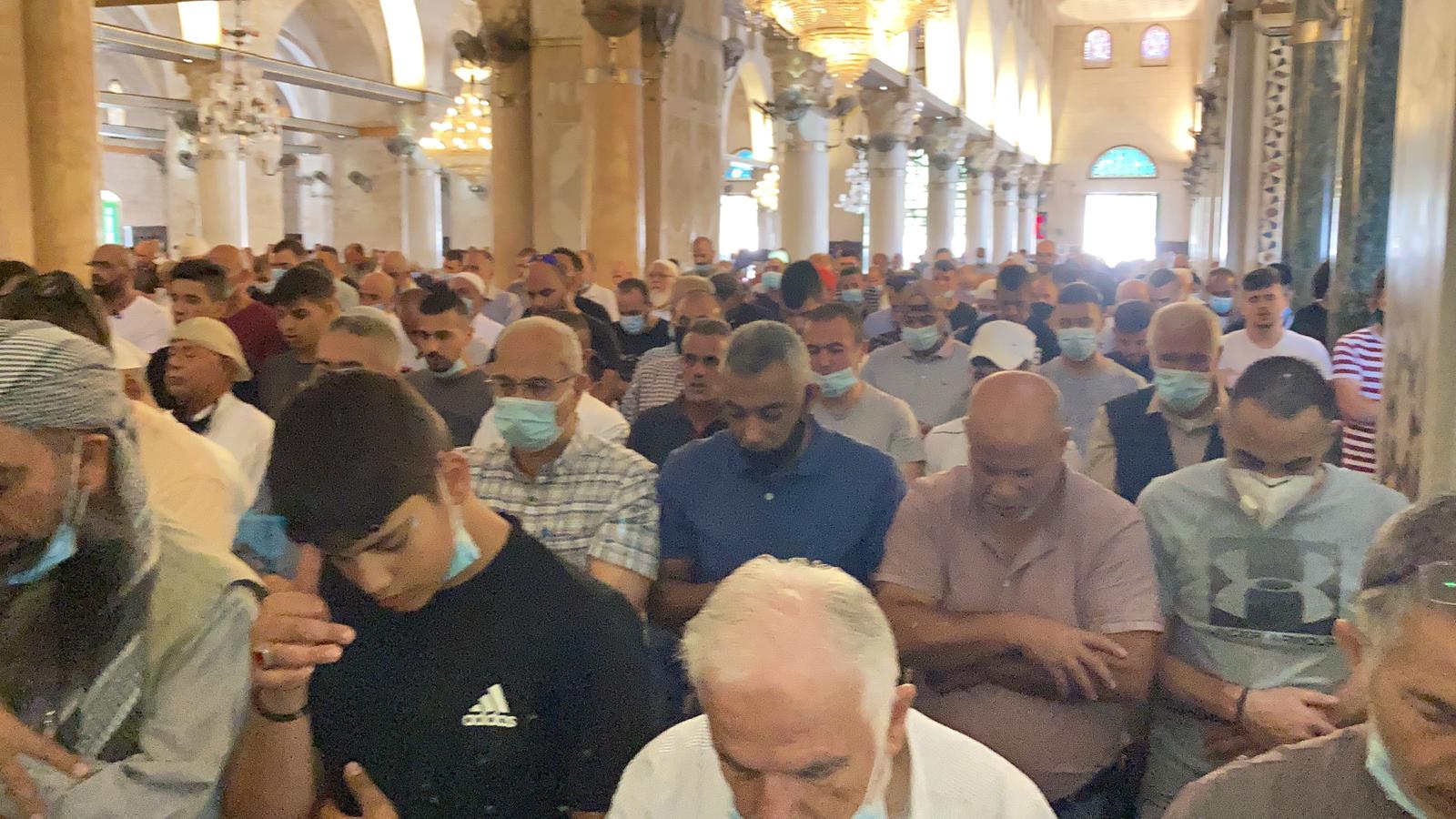 WhatsApp Image 2020-08-26 at 1.18.21 PM (1).jpeg.jpeg